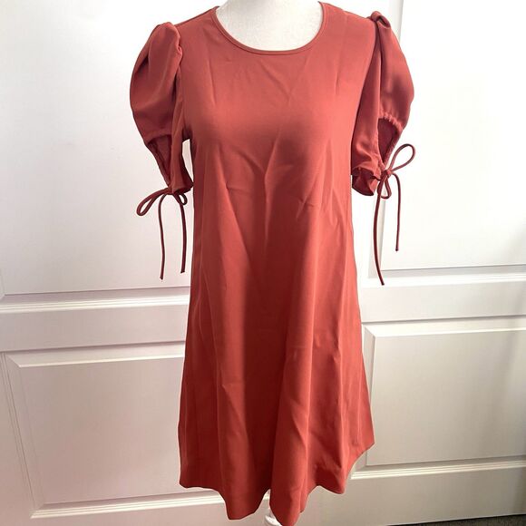 See By Chloe Tie Sleeve Dress Peppery Red Size 36/Small - Picture 2 of 10